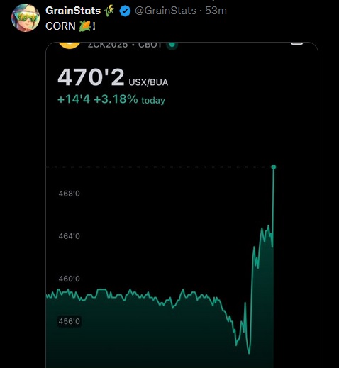 corn.jpg