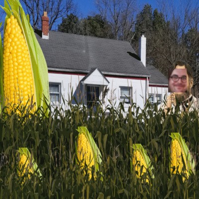 corn2.jpg