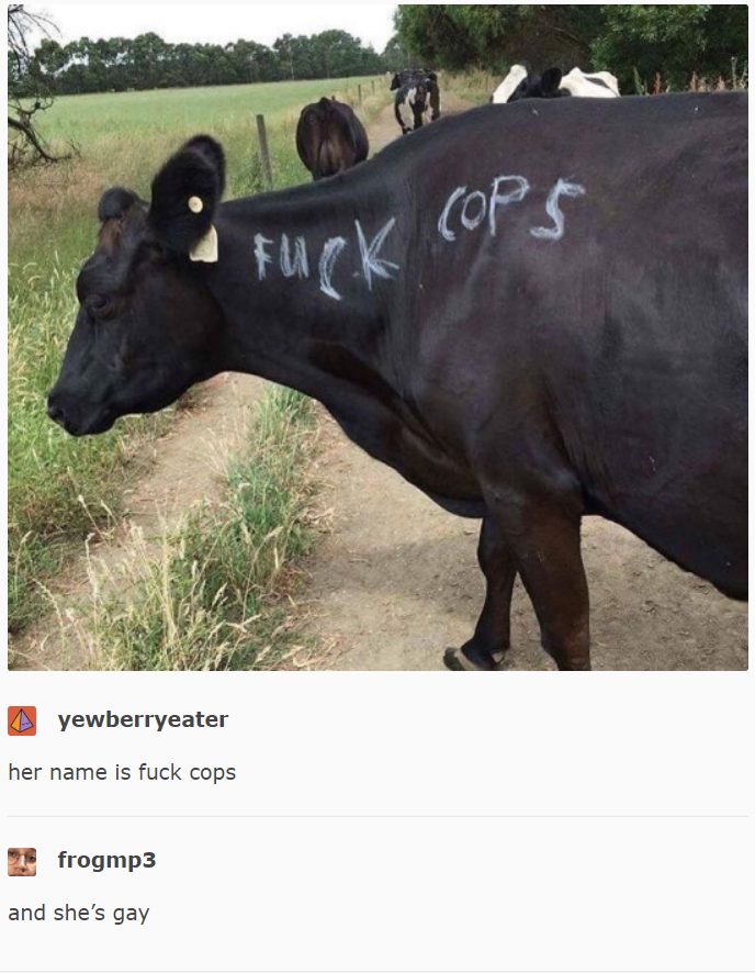 cow.png