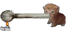 crackbert.gif