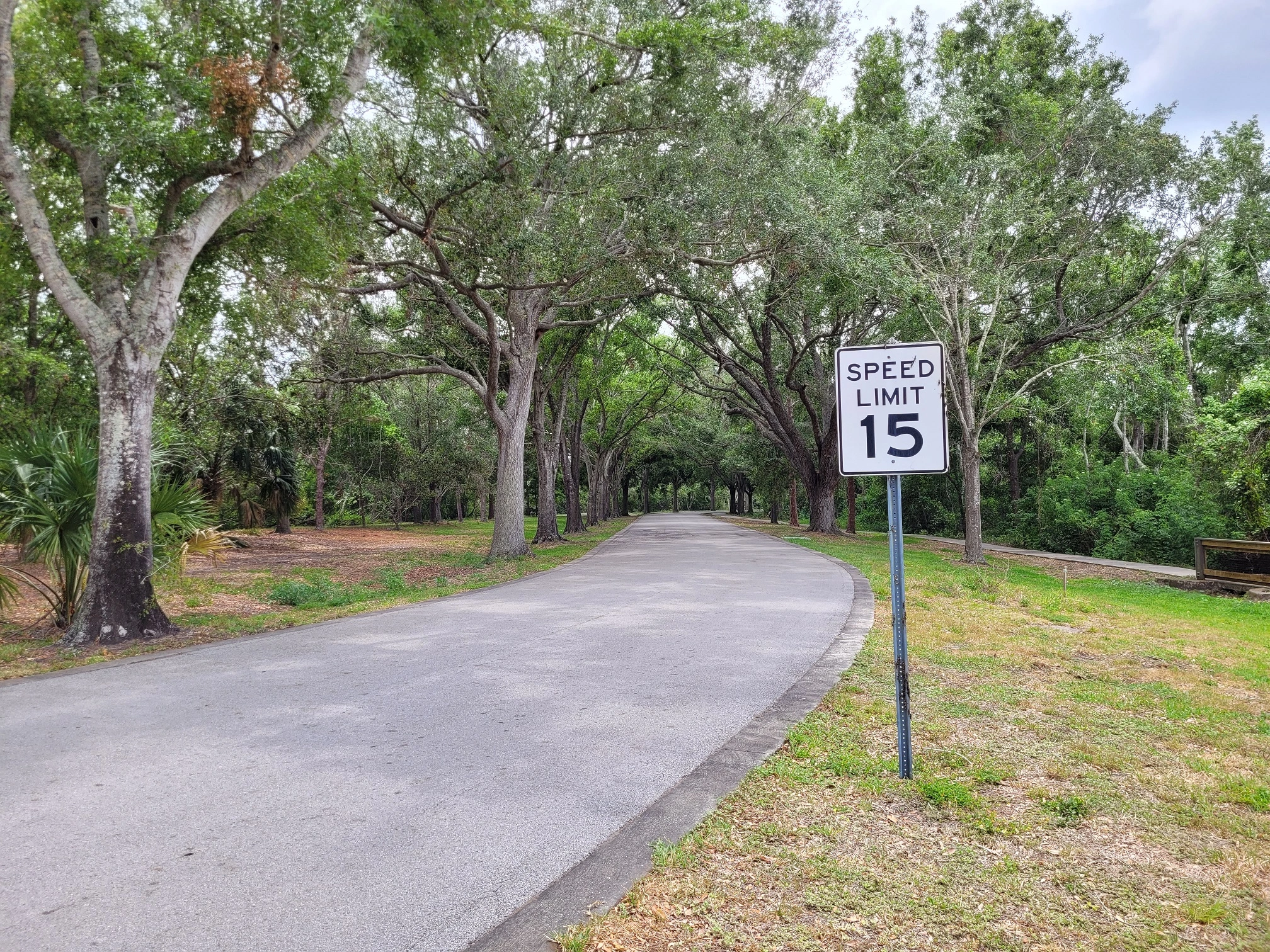 creepy park.webp