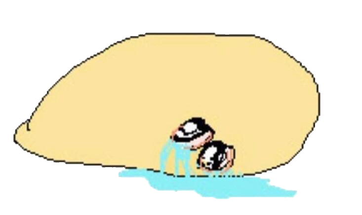 cri.png