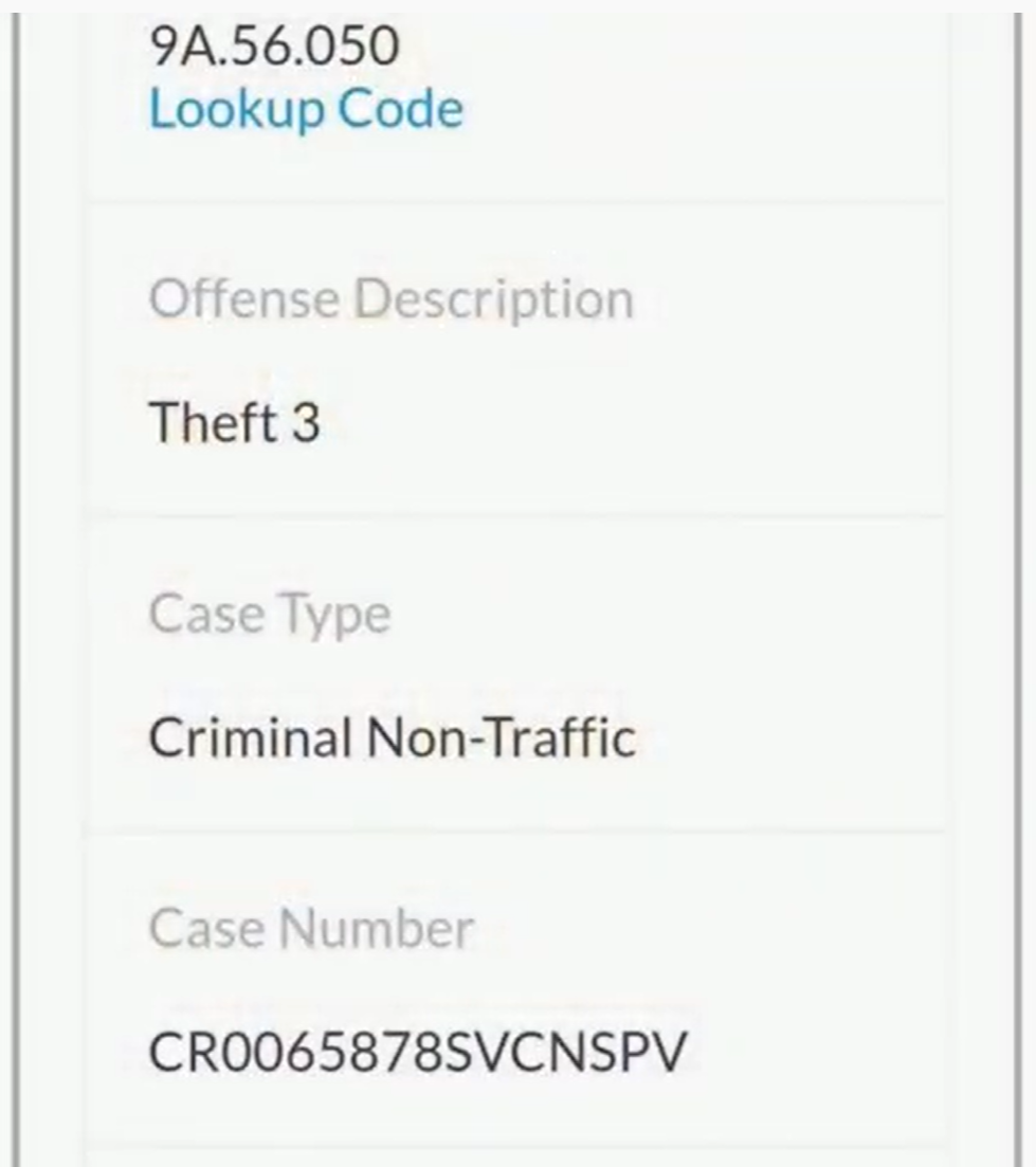 criminal3.png