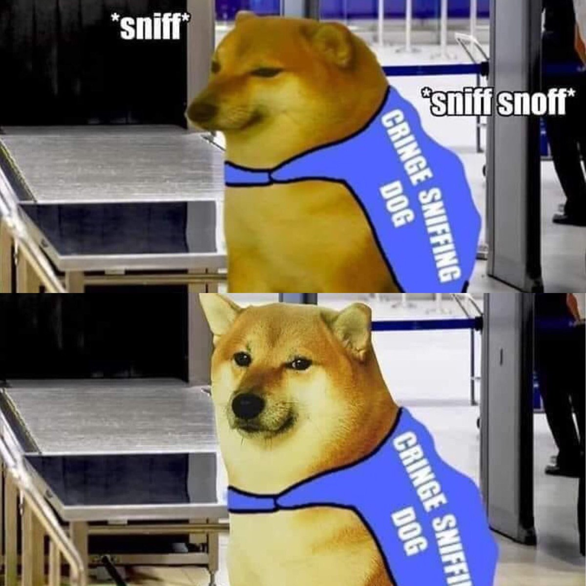 cringe_dog.png