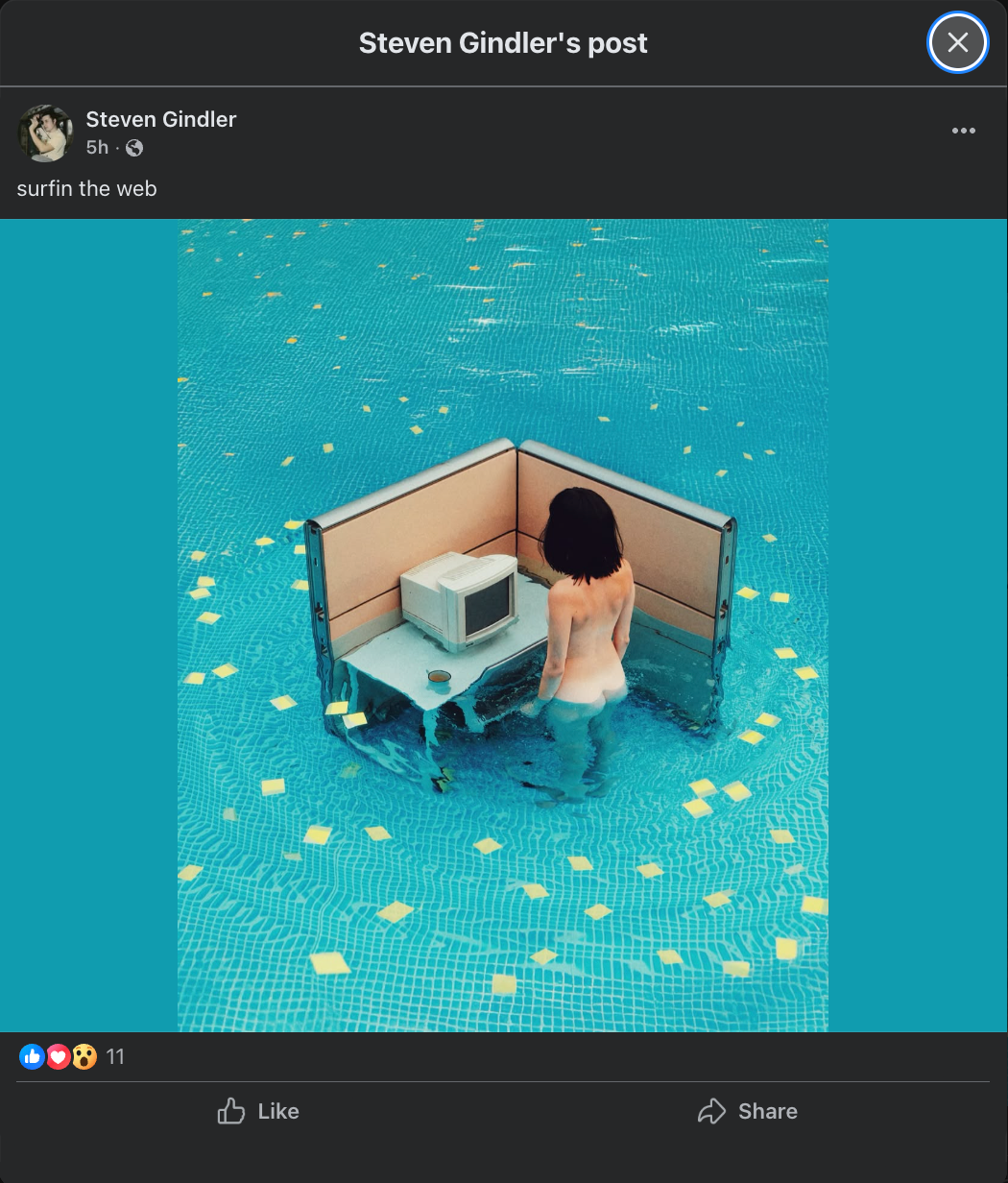CubicleHoe2A.webp