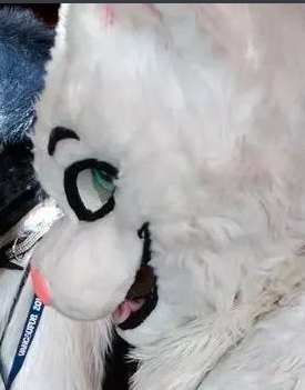 Cursed Images.png