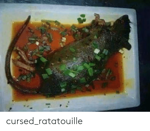 cursed rat.png