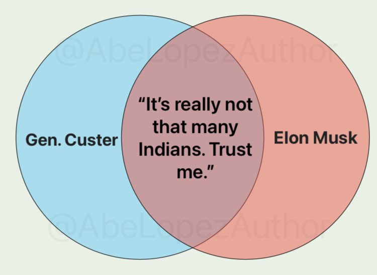 custer_musk.jpg