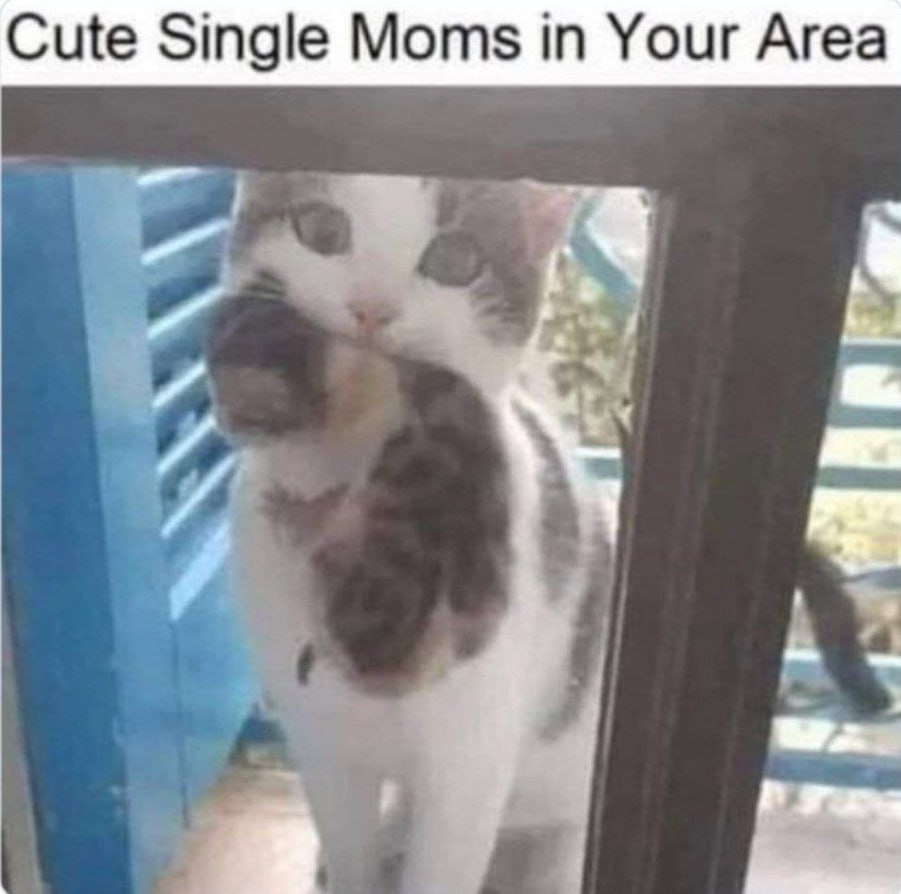 cute single mom (1).png