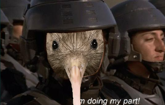 cutekiwi.png