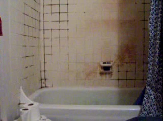 cwcshower.jpg