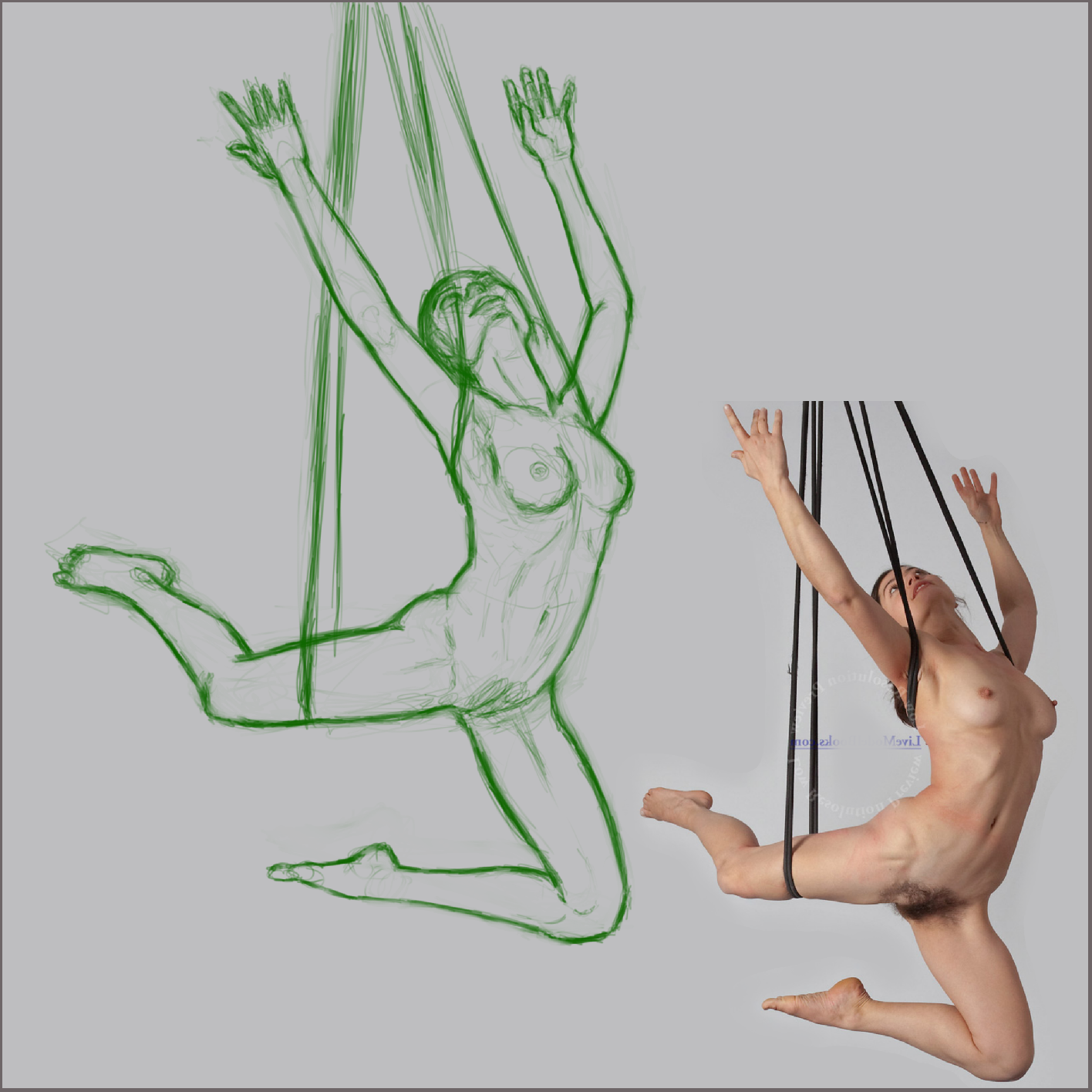 d27. hanging.PNG