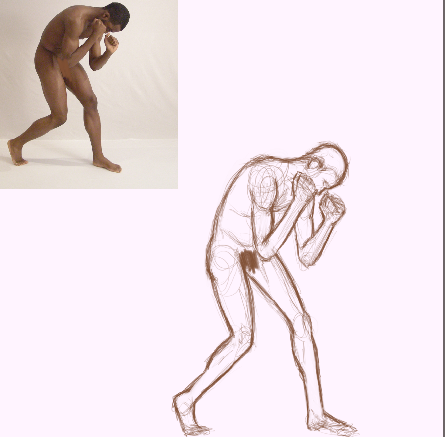 d4. boxer.PNG