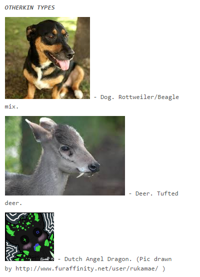 d4.png