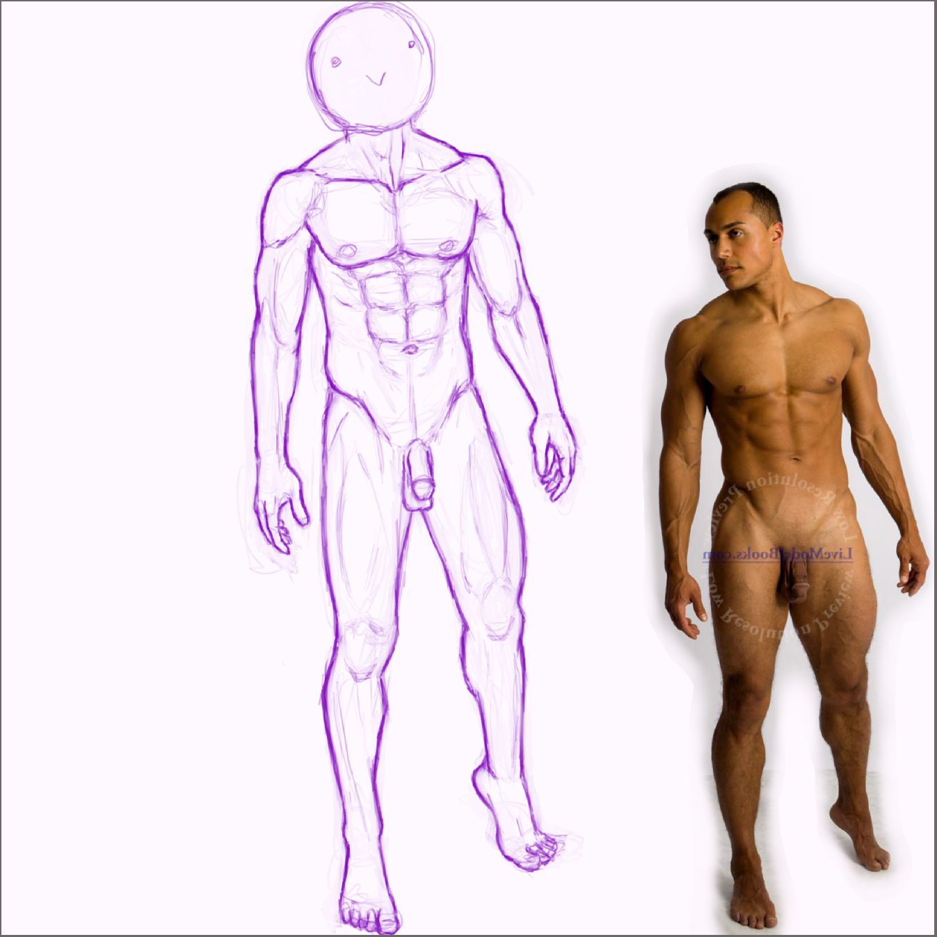 d42. perfection.PNG
