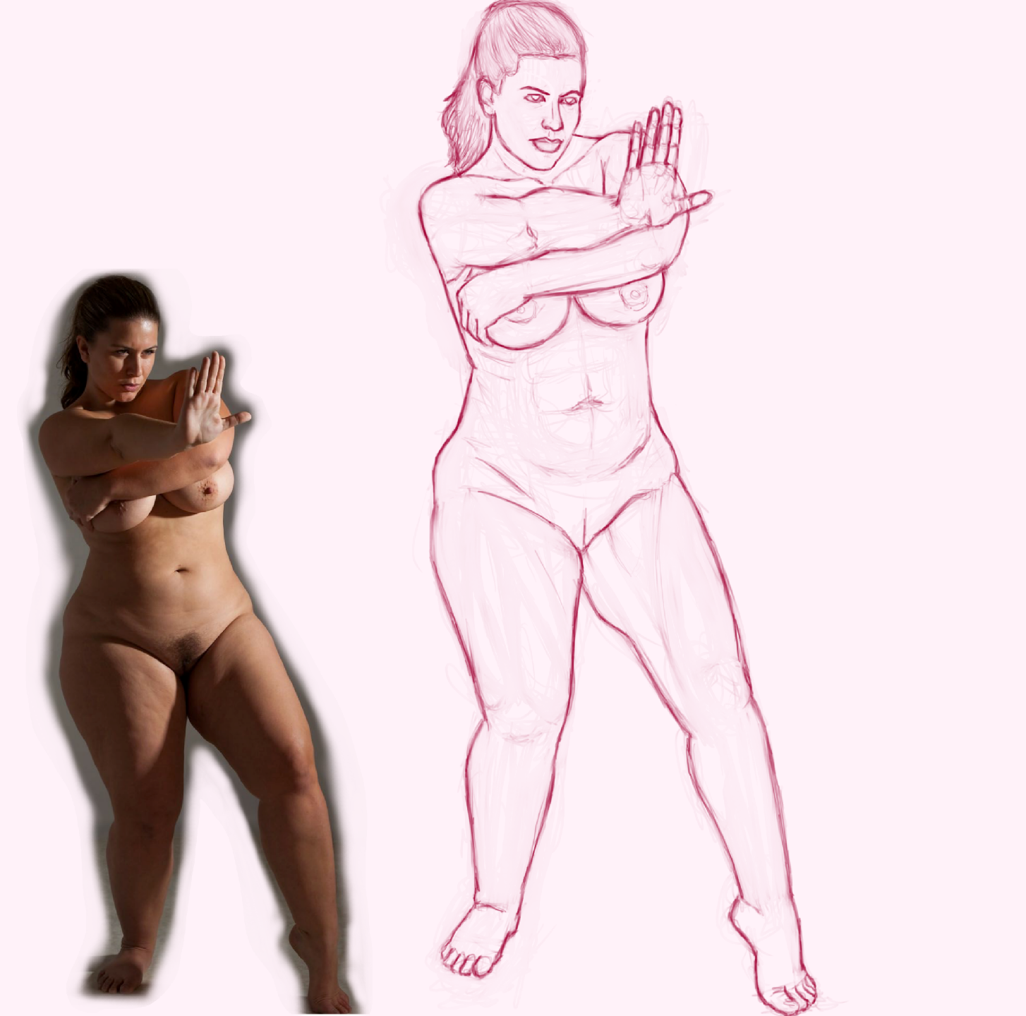 d49. stop.PNG