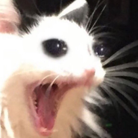 767242