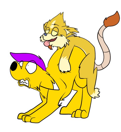 d8.jpg