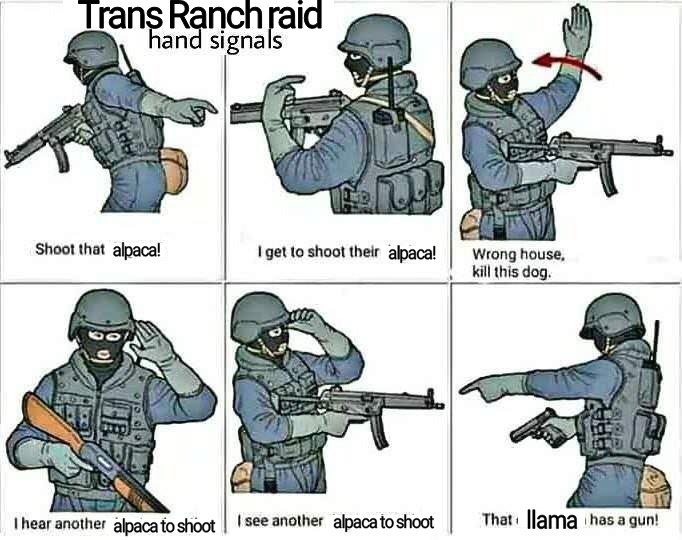 d91.jpg