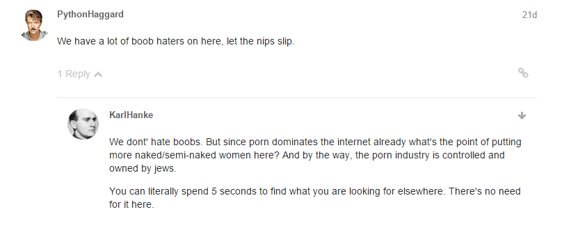 dailystormer1.PNG