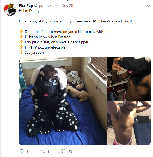 dalmy.png