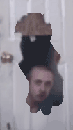 DancecatBossman.gif