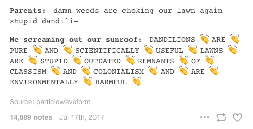 dandelions.png
