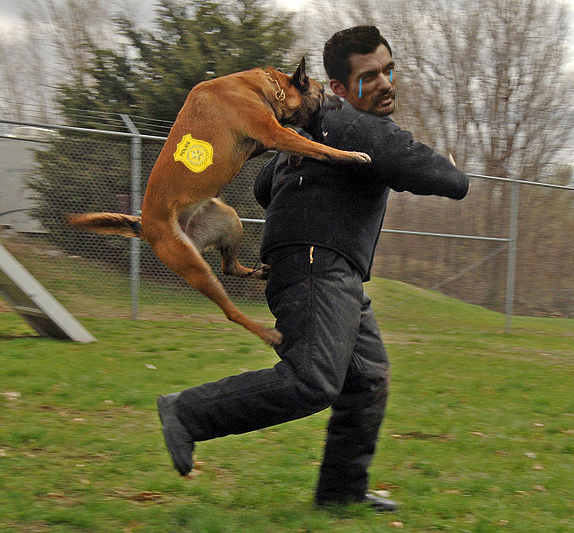 davidgandyisfail.jpg