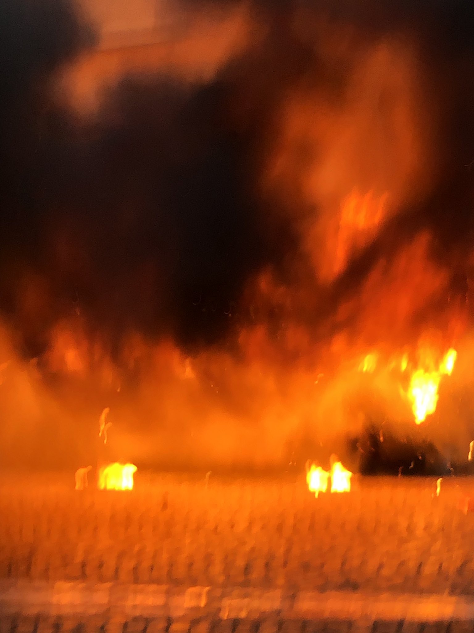 DC01CF75-D955-4E5A-A7E3-04946D812839.jpeg