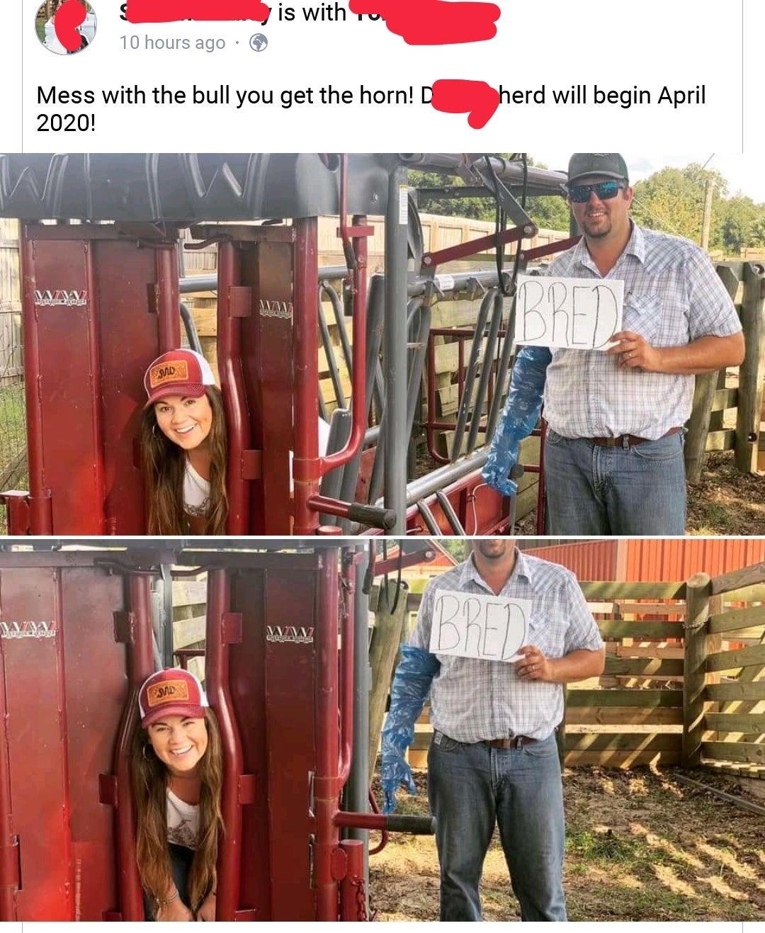 dd7ac0f55fc4f5f0f40a5fc6680a614a162b194a.jpeg