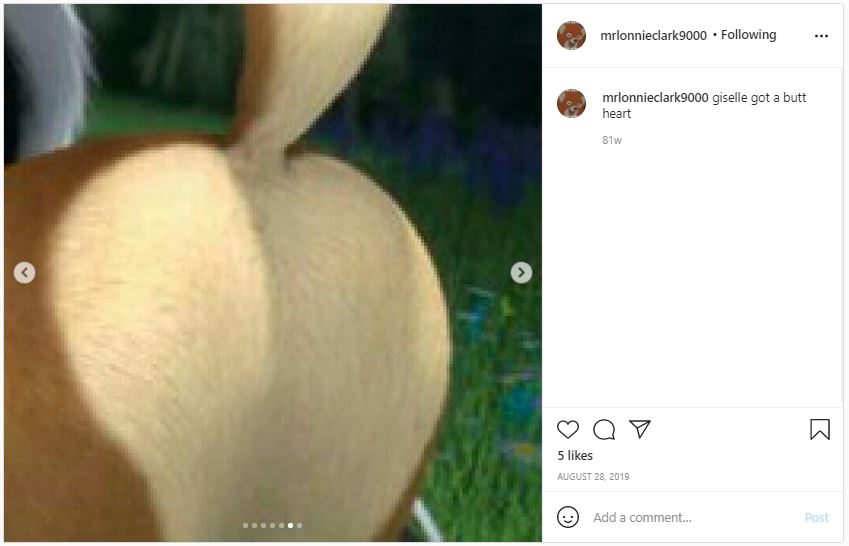 deer butt thirsting.JPG