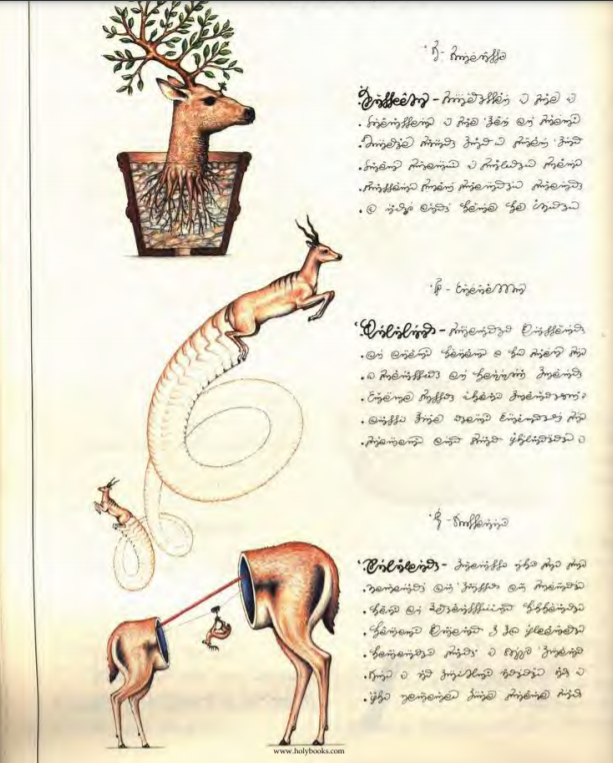 Deerb.PNG