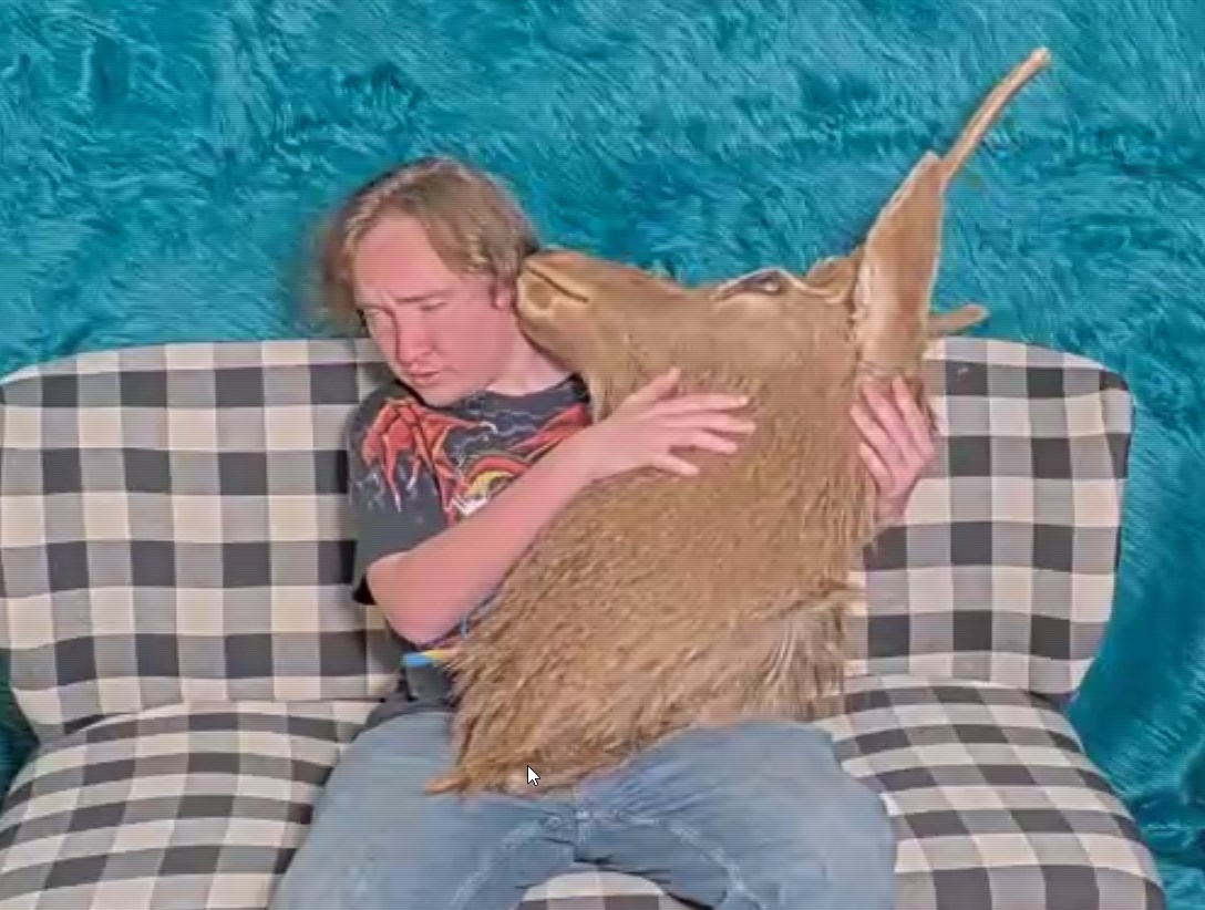 deerhead3.jpg
