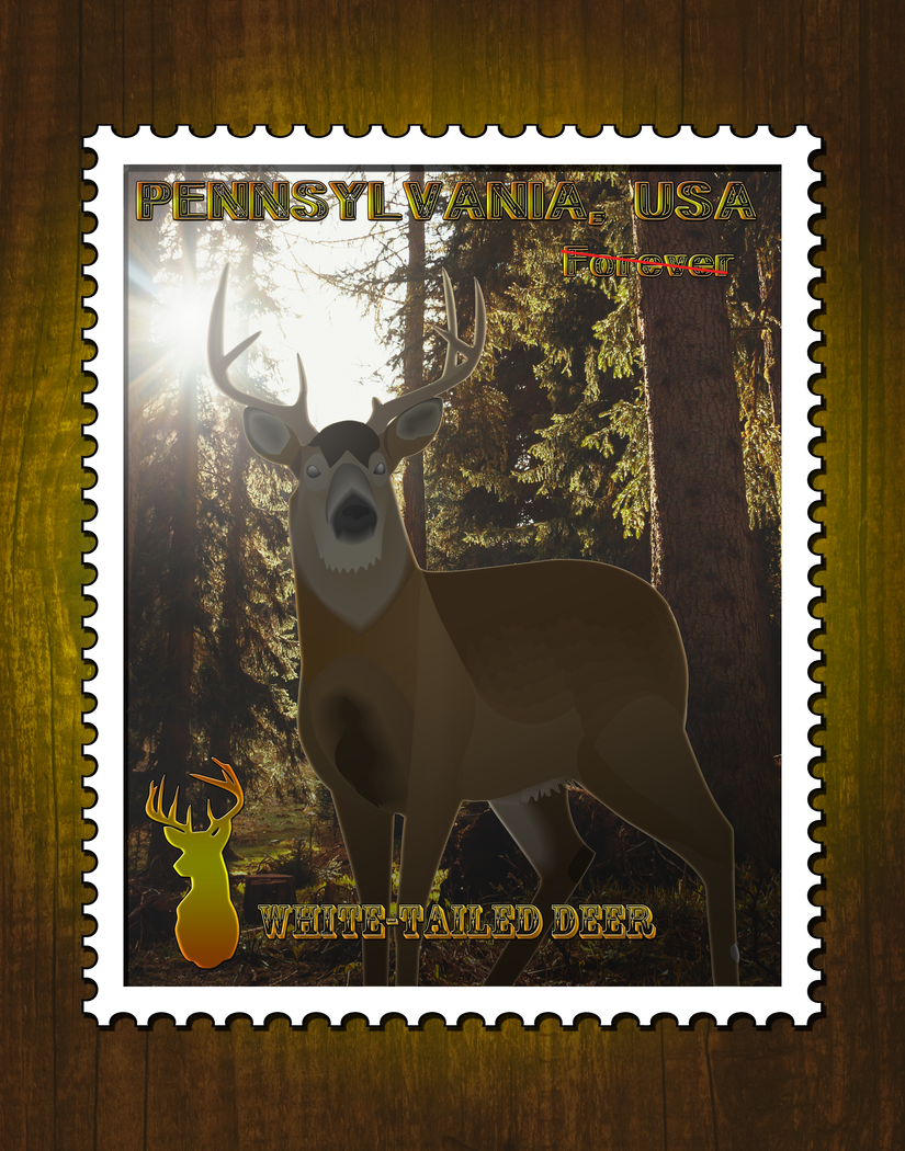 deerresize.png