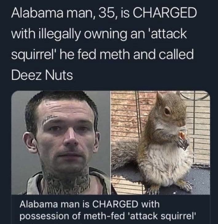 Deez Nuts.png