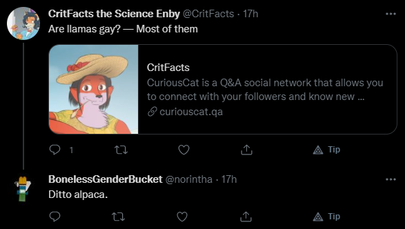 delusion.PNG