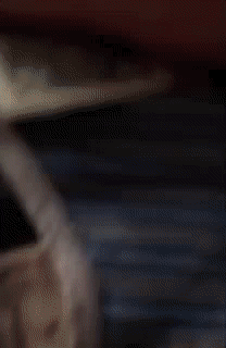 destiny.gif