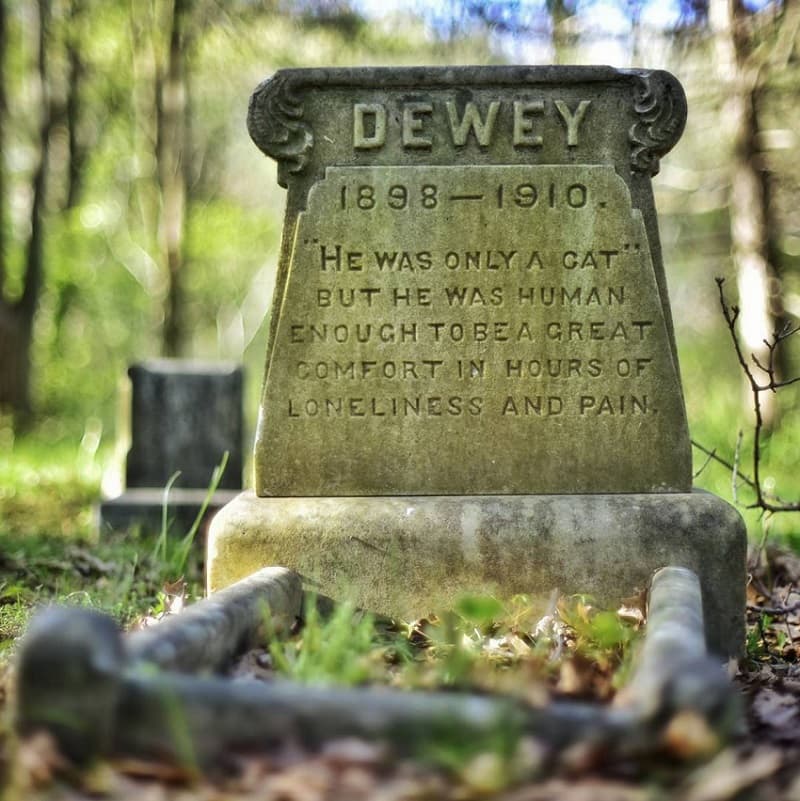 dewey.jpg