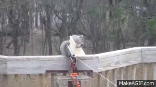 dHgNnsF.gif
