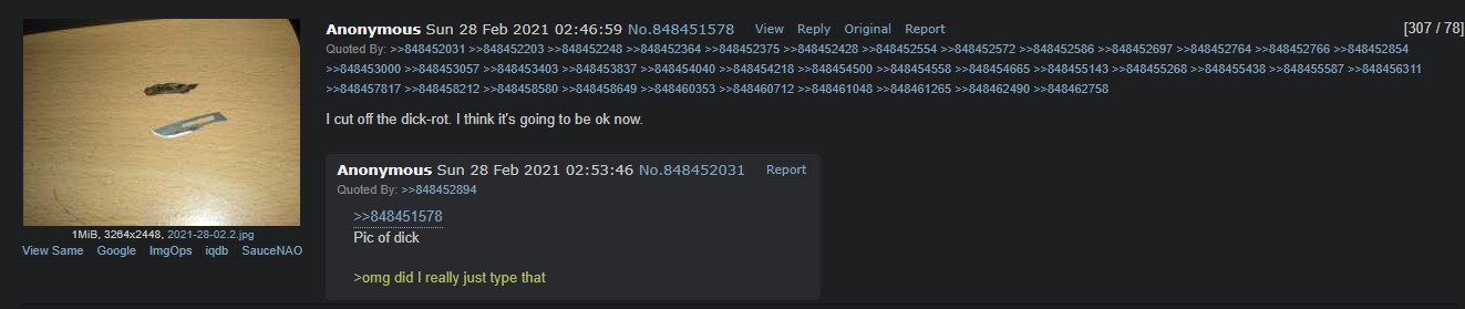 dick rot.jpg