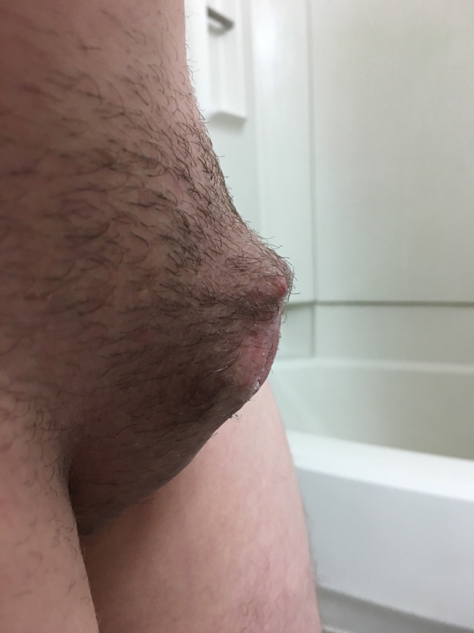 dickstump.jpg