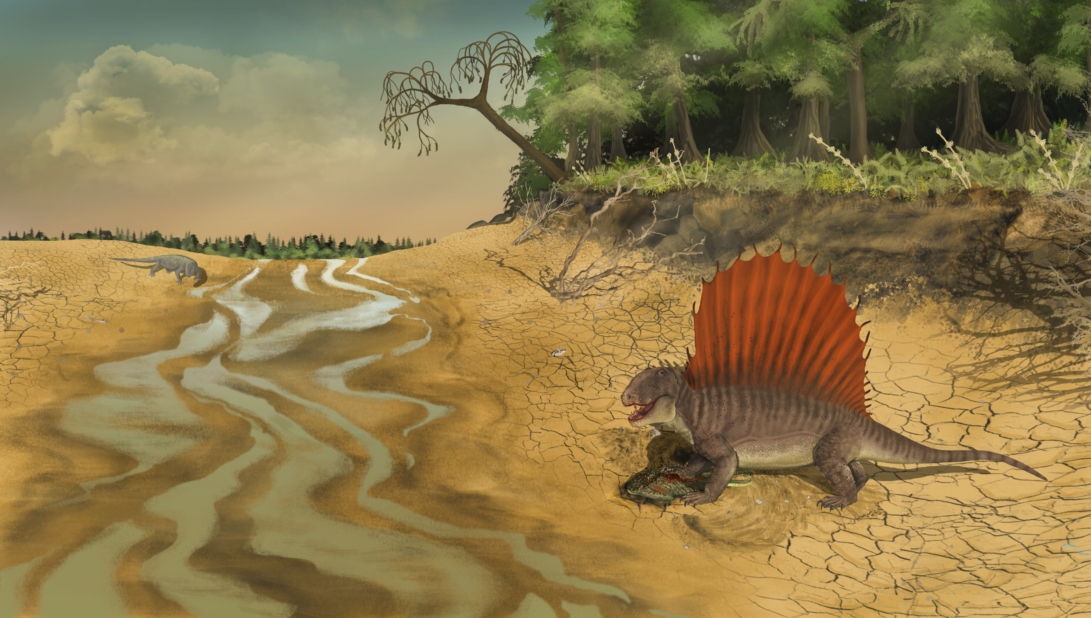 dimetrodon.png