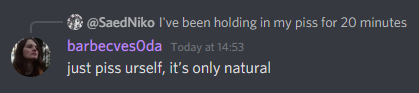 Discord_ekdhcbxk8W.png