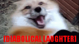DL.gif