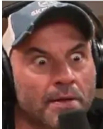 DMT.jpg