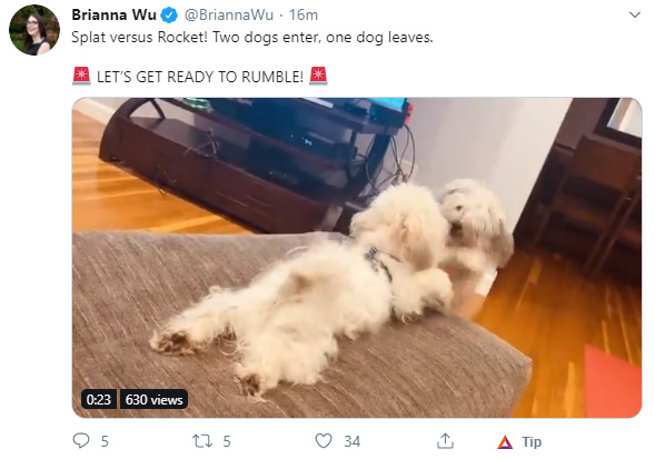 dog.jpg