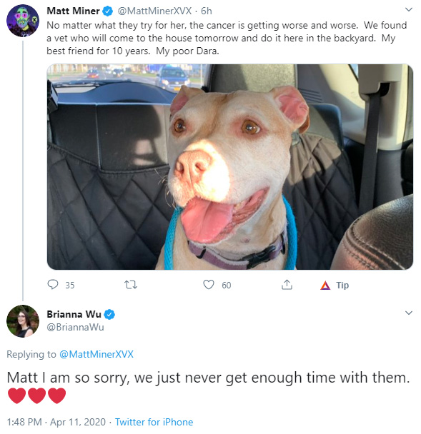 dog.jpg
