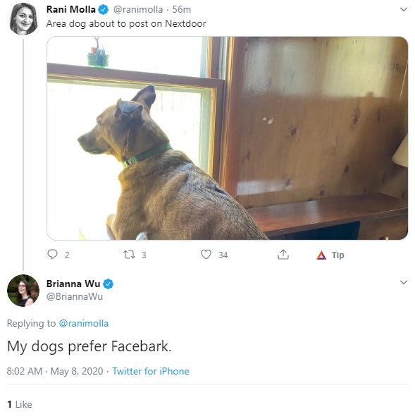 dog.jpg