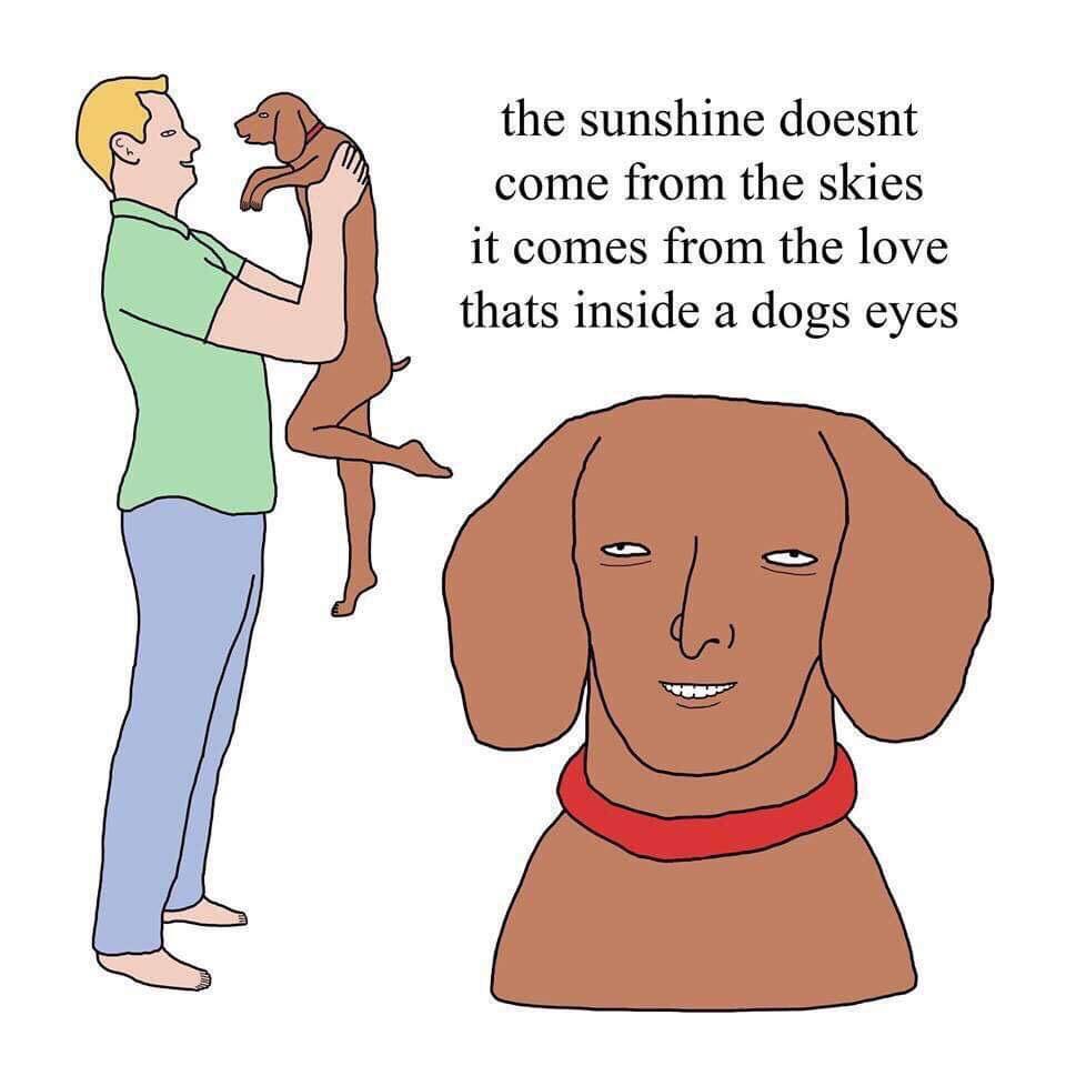 dog.jpg