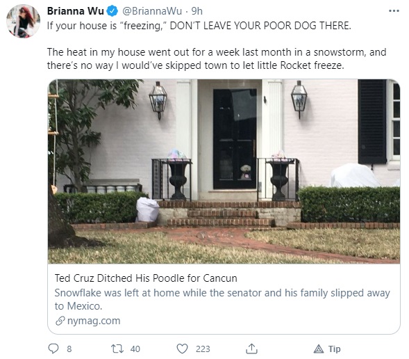 dog.jpg